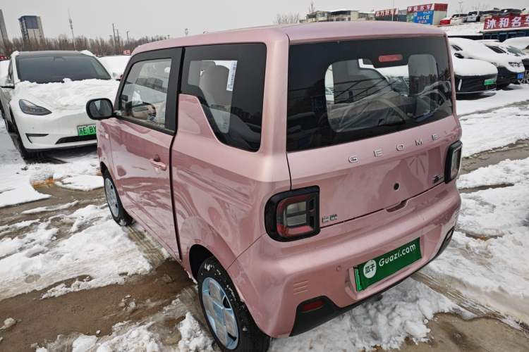 Used  Panda 2024 Panda Mini 200km Endurance Bear
