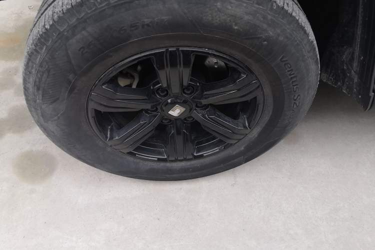 Used Tank 300 2024 2.0T Conqueror
