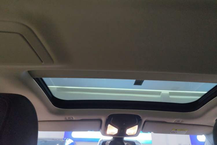 Used BMW 5 Series New Energy 2021 535Le Luxury Package
