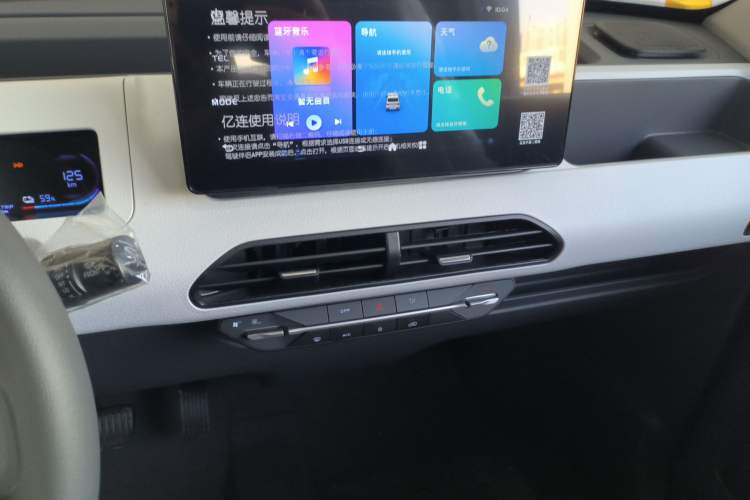 Used  Panda 2024 Panda Mini 200km Endurance Bear
