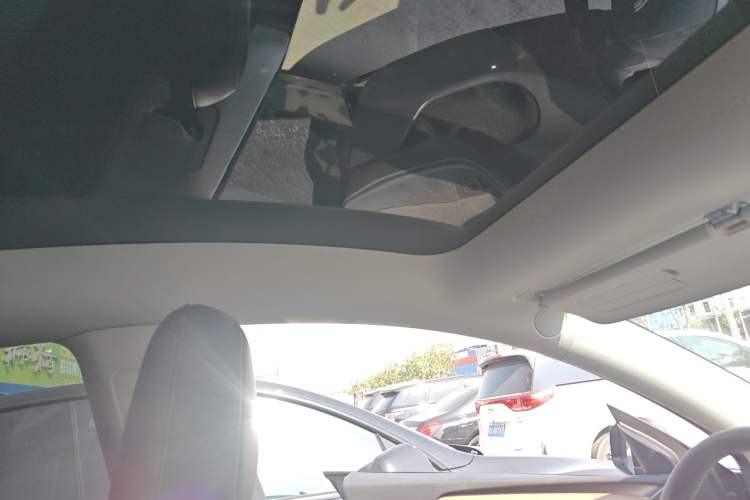 Used Tesla Model Y 2021 Standard Range Rear-Wheel Drive Version
