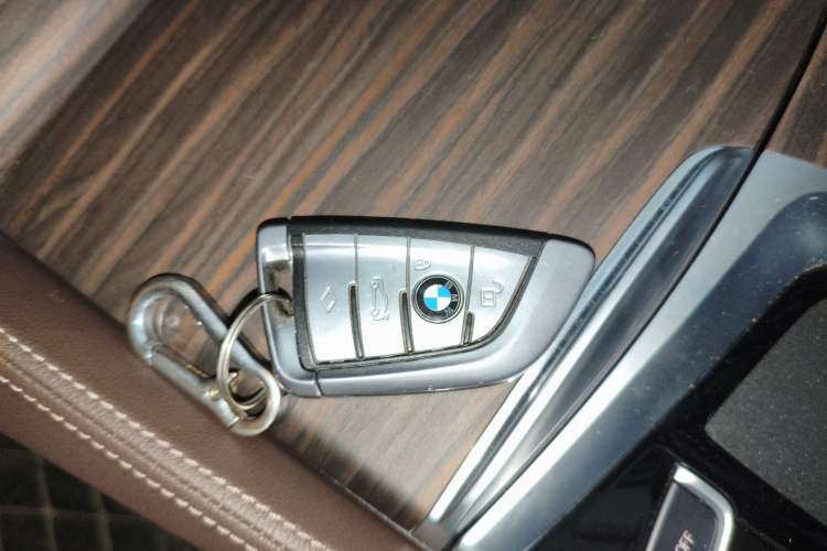 Used BMW 5 Series New Energy 2020 Mileage Upgrade Version 530Le Luxury Package