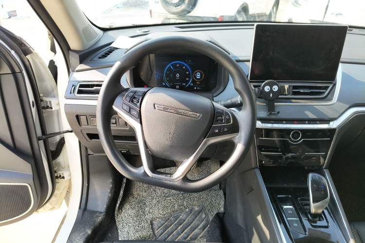 Used Venucia T60EV 2020 AI Enjoyment Model
