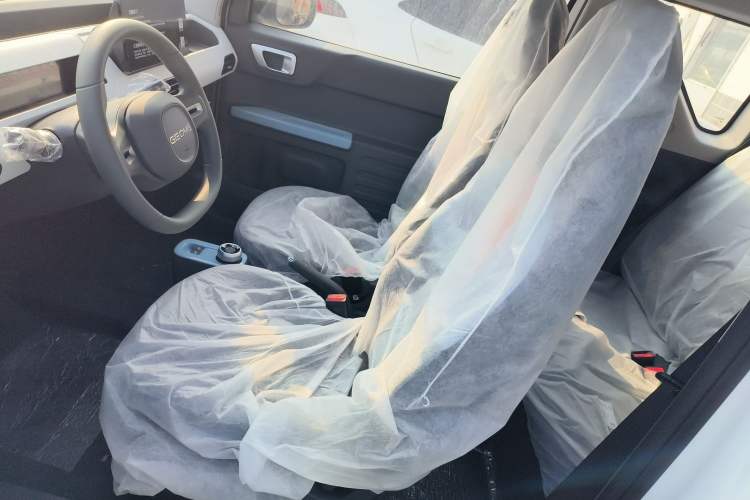 Used  Panda 2024 Panda Mini 200km Endurance Bear
