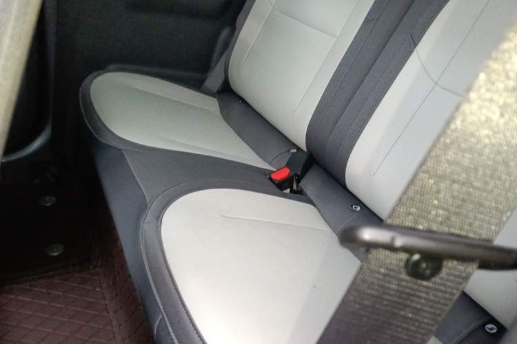 Used  Panda 2024 200km Panda Kart
