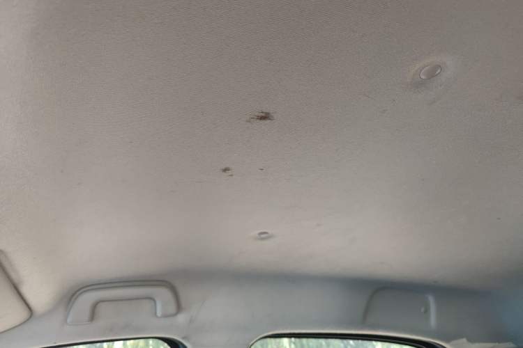 Used ORA Black Cat 2021 301 km Basic Version
