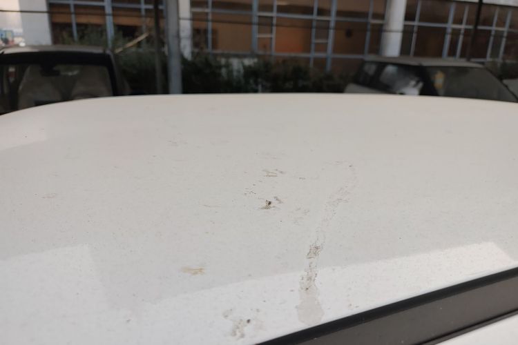 Used  Lumin 2024 130km Qingyue Version