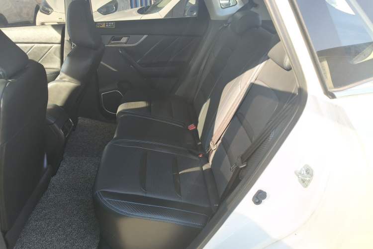 Used Venucia T60EV 2020 AI Enjoyment Model