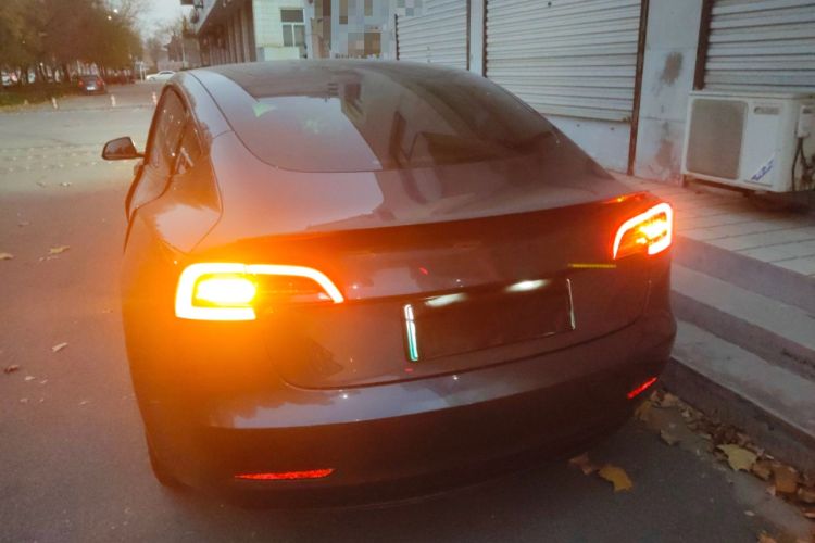 Used Tesla Model 3 2021 Standard Range Rear-Wheel Drive Upgraded Version 3D6