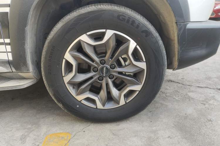 Used Haval DARGO 2022 2.0T DCT 4x4 Chinese Rural Dog Edition