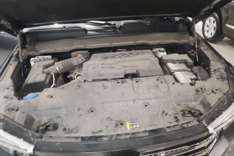 Used Tank 400 2025 2.4T Diesel Version
