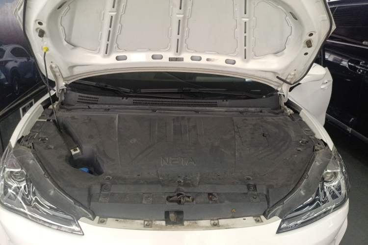 Used NETA V 2022 Chao 300 Lite Lithium Iron Phosphate
