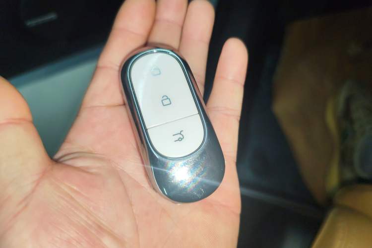 Used Leapmotor C11 2024 Range-Extended 300 Luxury Edition
