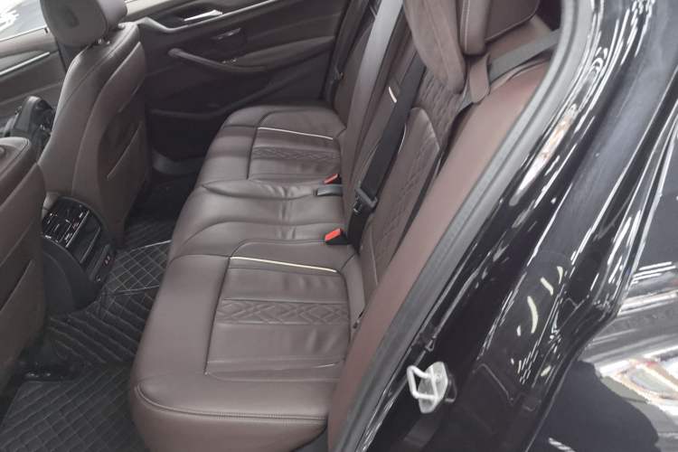 Used BMW 5 Series New Energy 2020 Mileage Upgrade Version 530Le Luxury Package
