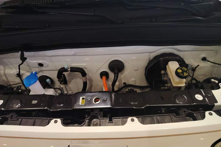 Used  Panda 2024 Panda Mini 200km Endurance Bear