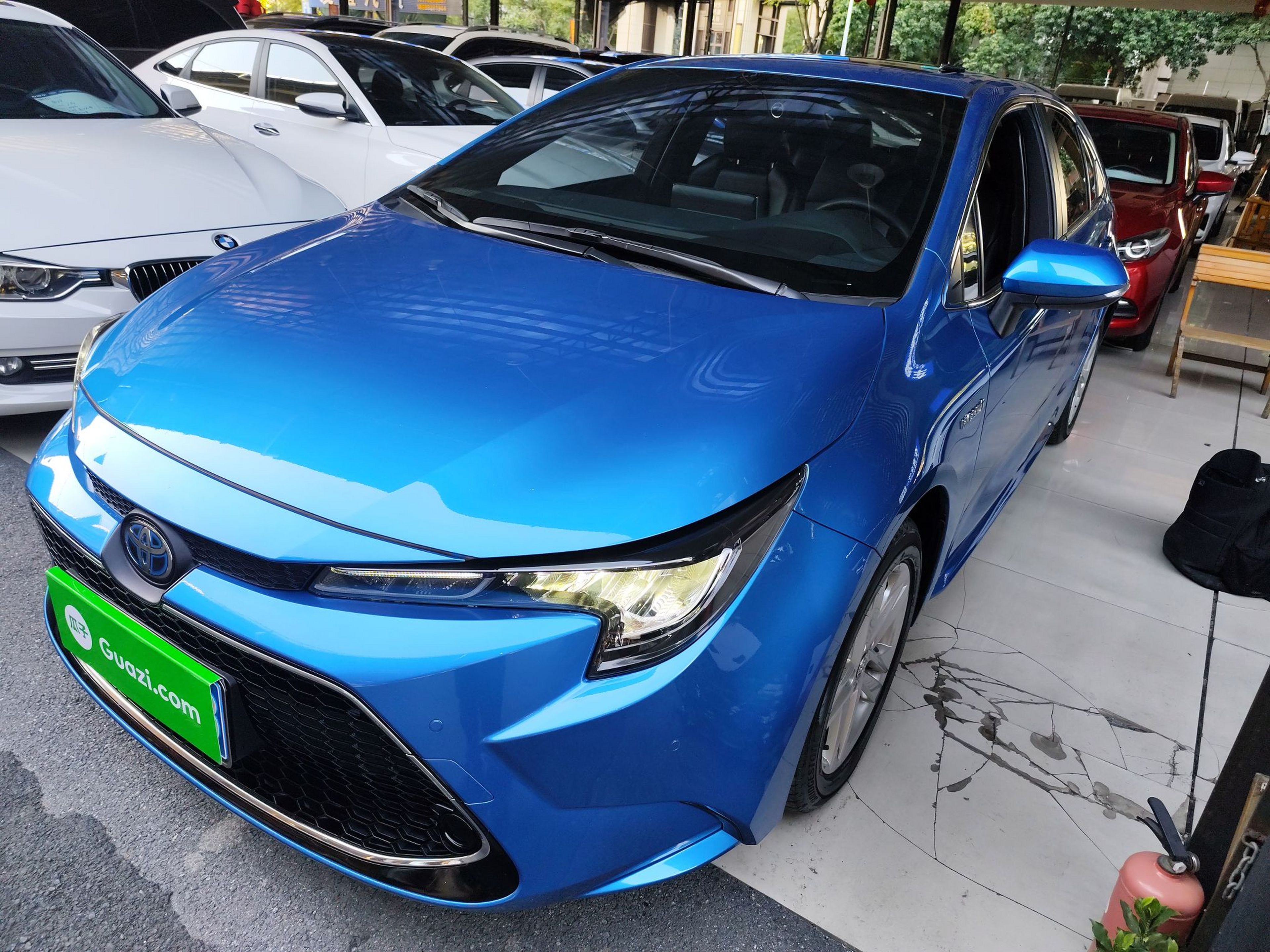 تحت مقدمة السيارة