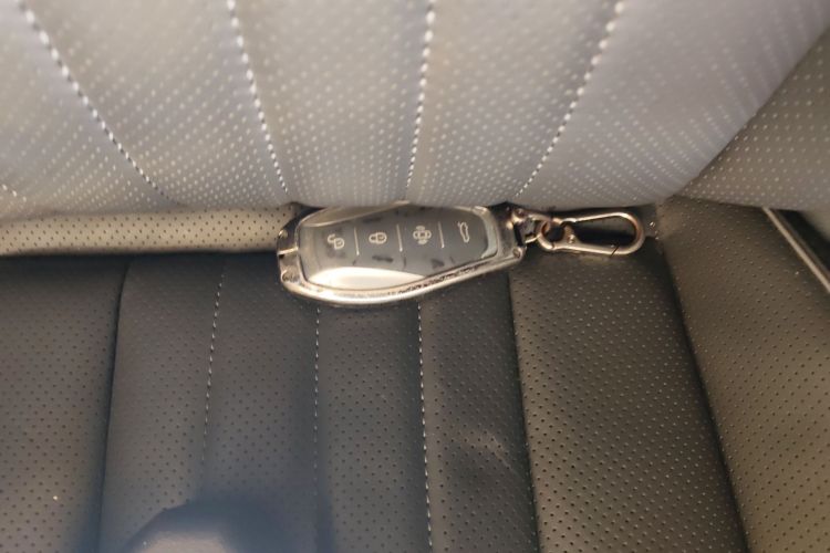 Used Hongqi H9 2023 2.0T Smart Connect Flagship Edition
