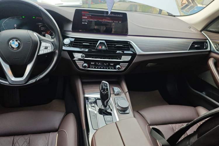 Used BMW 5 Series 2020 530Li Luxury Edition Premium Package
