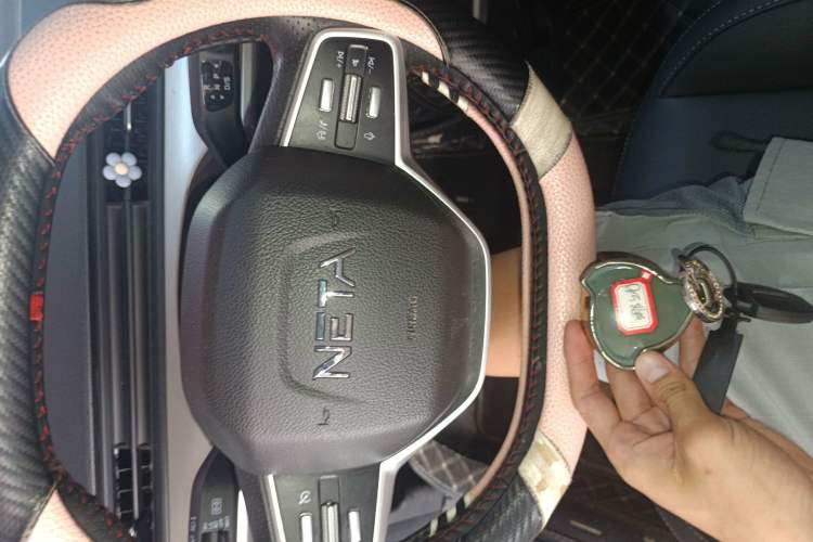 Used NETA V 2021 Witch Edition
