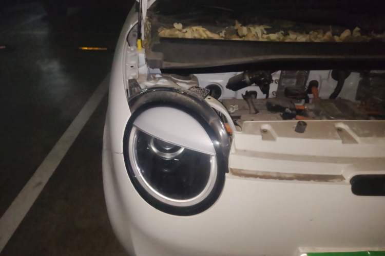 Used  Lumin 2022 155 km – Refreshingly Sweet Edition