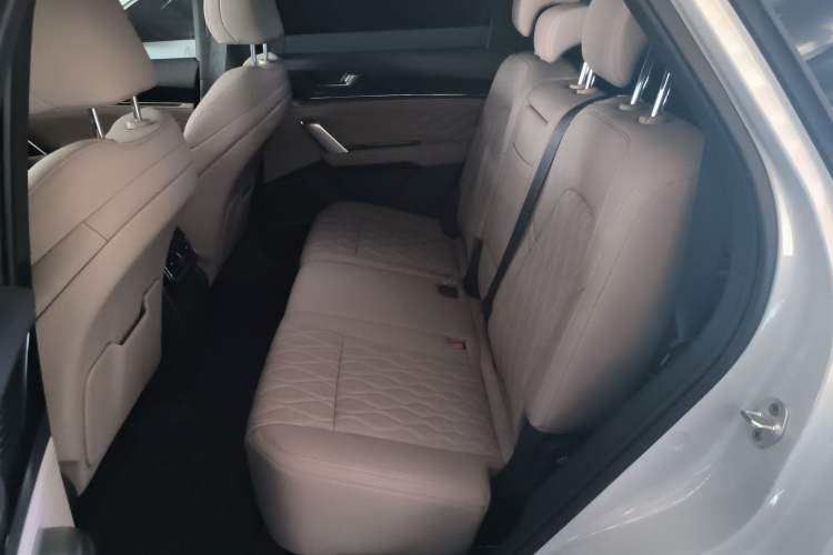 Used BYD Tang New Energy 2025 DM-i 115KM Prestige Model
