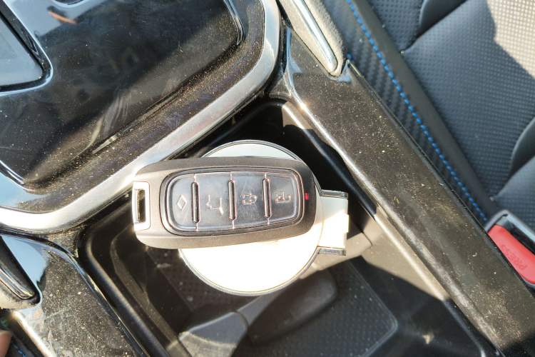 Used Venucia T60EV 2020 AI Enjoyment Model
