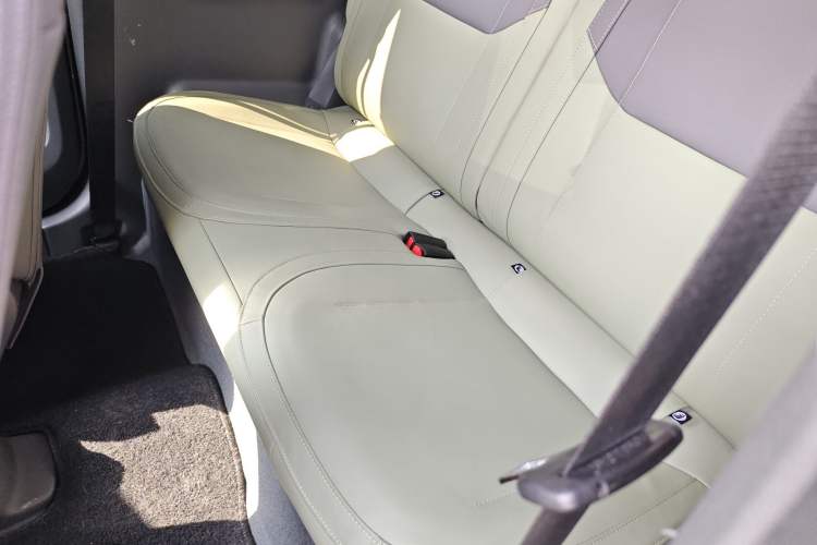 Used  Panda 2024 200km Panda Rider