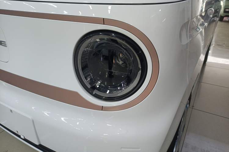 Used  Panda 2023 Panda Mini 200km Endurance Bear