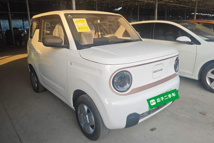 Used  Panda 2024 Panda Mini 200km Endurance Bear
