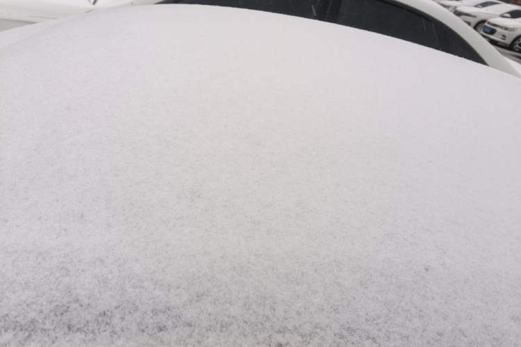 Used Volkswagen Lamando 2018 230TSI DSG Fashion Edition