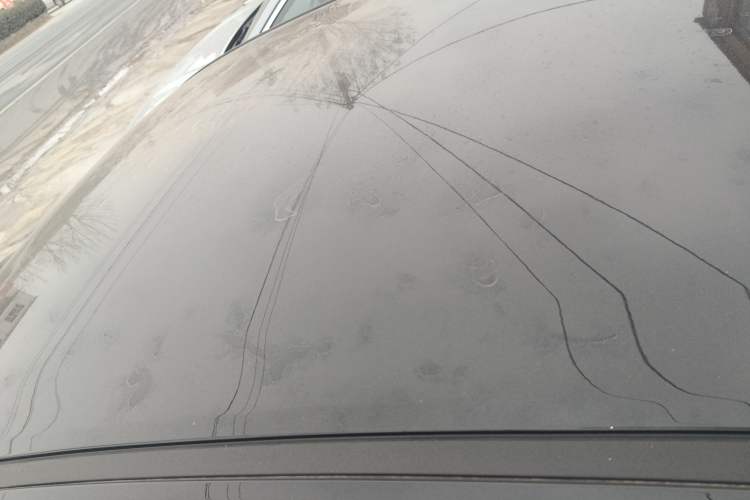 Used  Galaxy Stellar 6 2026 Model 60km Sailing Edition