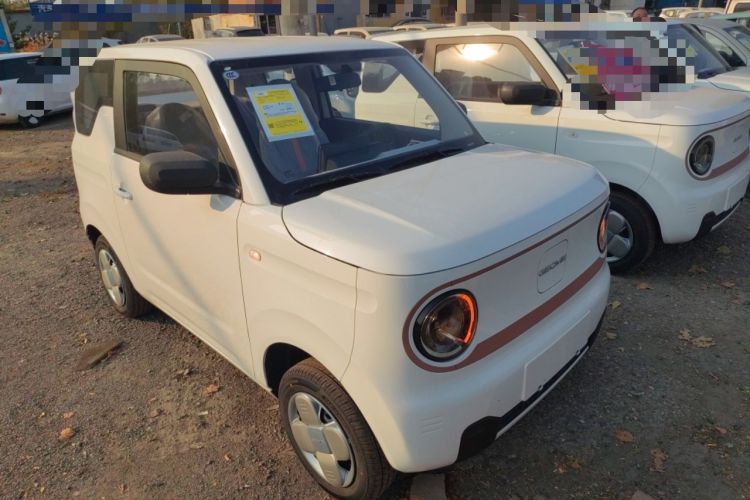 Used  Panda 2024 Panda Mini 200km Endurance Bear
