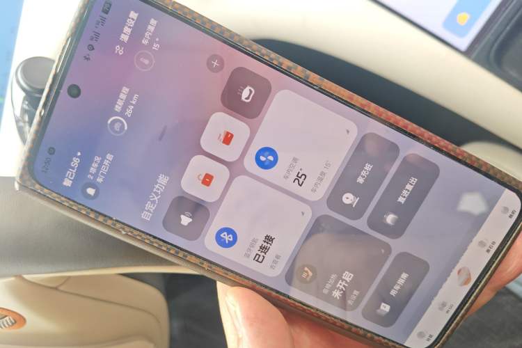 Used IM LS6 2023 Max Standard Edition
