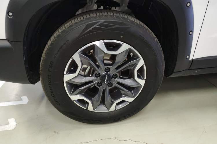 Used Haval DARGO 2024 2.0T DCT Chinese Rural Dog Edition