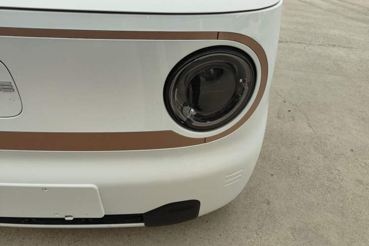 Used  Panda 2024 Panda Mini 200km Endurance Bear
