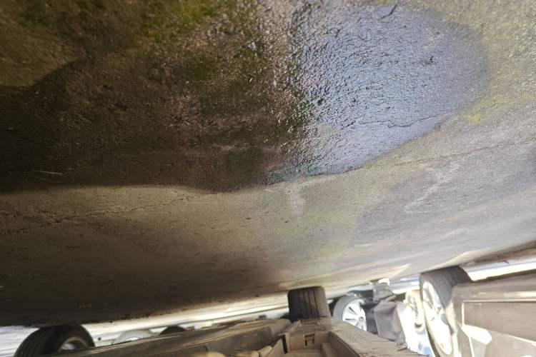 Used Toyota Corolla 2021 Dual-Motor 1.8L E-CVT Elite Edition