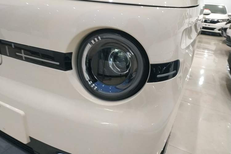 Used  Panda 2025 210 km – Yuanqi Bear
