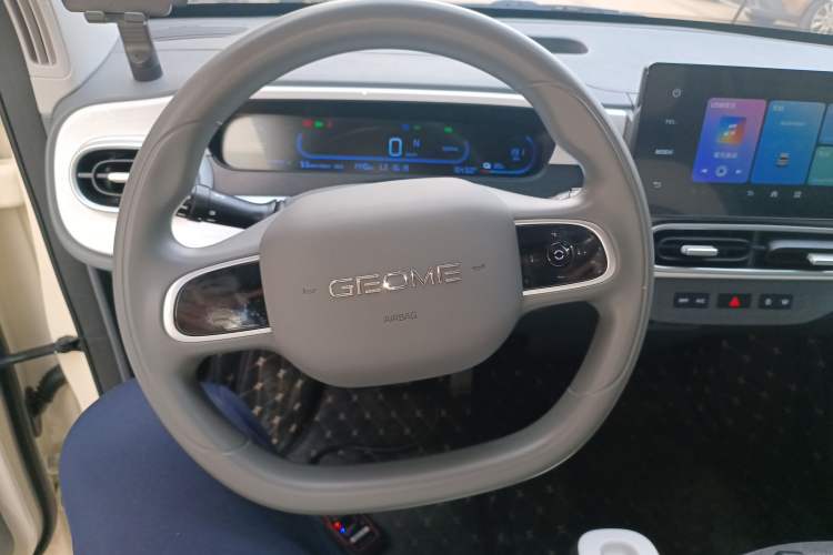 Used  Panda 2025 210 km – Yuanqi Bear
