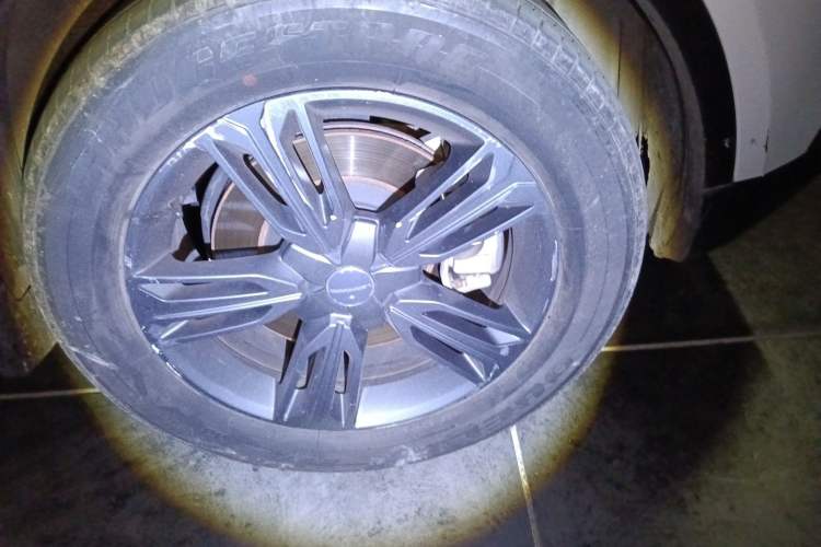 Used Leopaard CS10 2017 2.0T Automatic Urban Version