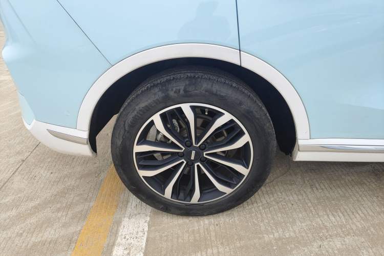 Used Wey Mocha 2021 2.0T Two-Wheel-Drive Ultra-Strong Version
