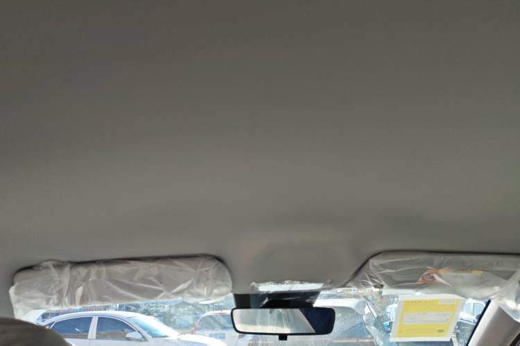 Used  Geome 2025 310km Youth Edition