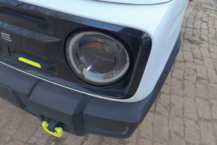 Used  Panda 2024 200km Panda Rider