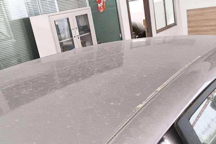 Used  Geome 2025 310km Dream Edition
