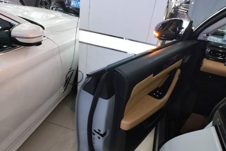 Used Leapmotor C11 2024 Range-Extended 300 Luxury Edition
