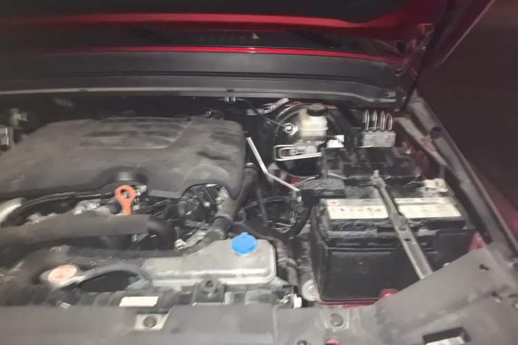 Used Tank 300 2021 City Edition 2.0T—Truly Stylish
