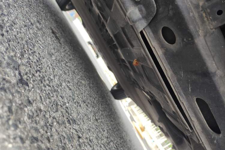 Used Chery Little Ant 2023 251km True Love Edition Lithium Iron Phosphate
