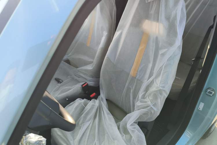 Used  Panda 2024 Panda Mini 200km Endurance Bear