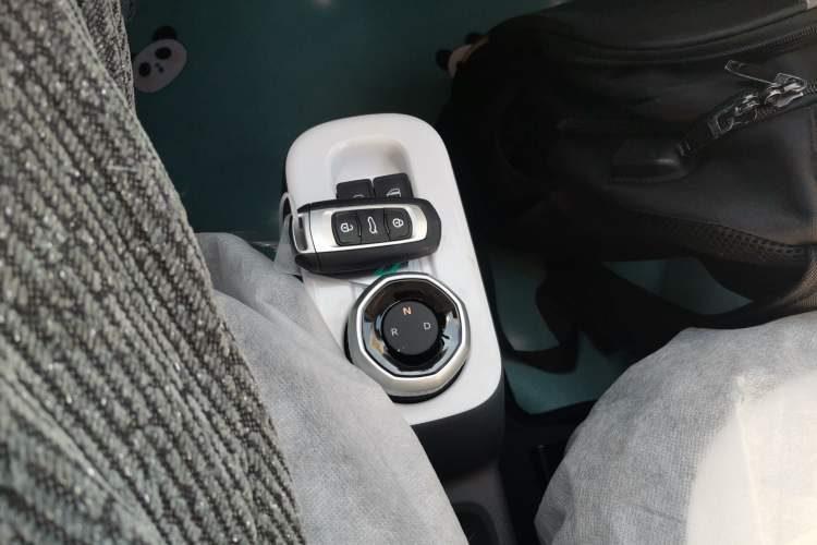 Used  Panda 2025 210 km – Yuanqi Bear