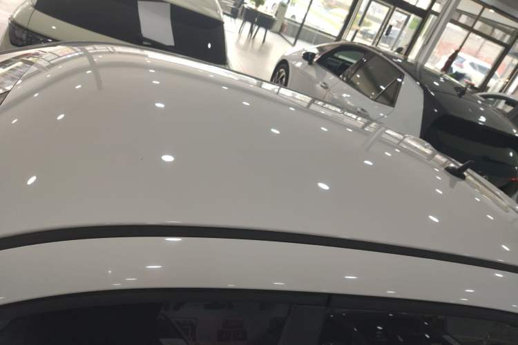 Used ORA Black Cat 2021 301 km Basic Version
