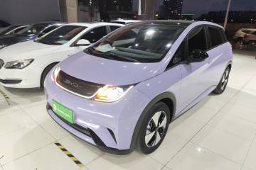 Used BYD Dolphin 2023 420 km Free Version